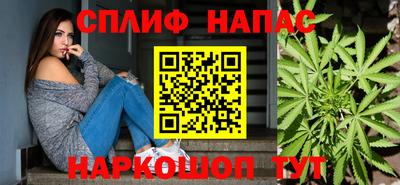 крисы Обь