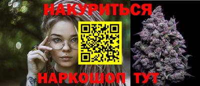 крисы Обь